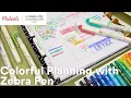 Online Class Colorful Planning with Zebra Pen Michaels