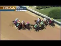 Oaklawn Park Jan 25 2025 The 36th Running of Fifth Season Stakes
