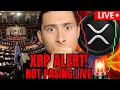 Download Lagu BREAKING XRP NOT PASSING GENIUS VOTE LIVE?!!!🔴
