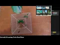Perler Bead Ideas Stream 4-7-22 - Dragon Bass Constellation Bass Clef Palm Tree