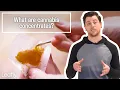 Cannabis Concentrates Explained