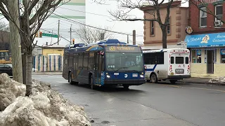 Full Ride 2022 Novabus LFS on S59 to Tottenville via Richmond Avenue Hylan Blvd
