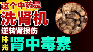 这个中药是洗肾机，逆转肾损伤，排光肾中毒素【养生有道】