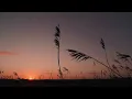 Joy In The Morning | Tauren Wells | Lyric Video