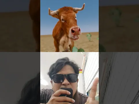 Kenapa Sapi malah di kasih kaktus 🌵😰😭