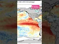 El Nino suppresses our hurricane season and will impact our upcoming winter