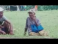 Download Lagu O Hau Nia Murak - Jino da Costa