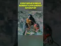 Download Lagu AURA HAMZAH MEMBUAT PARA KAFIR QURAISY KETAKUTAN