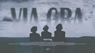 ВИА Гра X Benvinls Океан и Три Реки 80 S Remix 