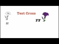 Solving Genetics Problems
