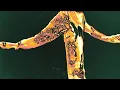 Wichita Lineman (feat. Nick Cave) - Flea