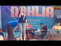 Download Lagu Duda ( Mas'ud Sidik ) cover Depri-DAHLIA AUDIO