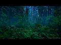 Rainforest Thunderstorm Sounds for Sleep | 10-Hour Rain and Thunder Ambience