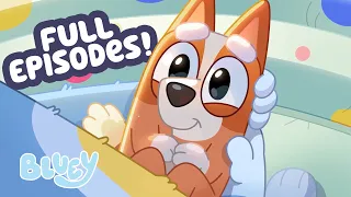 Bandit Pretends to be Pregnant with Bingo! 💙 😂 | FULL EPISODES | ﻿Bluey