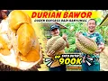 Download Lagu Duren Bawor, Durian Raksasa dari Banyumas