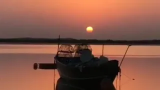 ونات مصطاب ميحد حمد 