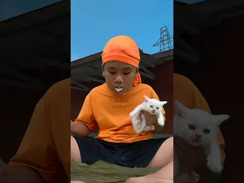 Please help save this cute kitten #freefire #funny #freefireshorts