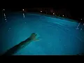 Billie Eilish Late Night Drive Songs