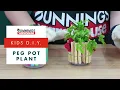How To Make A Peg Pot Plant - DIY At Bunnings