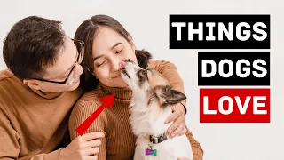 The Top 15 Things Dogs Love – Backed by Science! 🐾