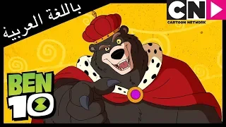 بن      أغنية   دب   فوضى في ماسكوت   كرتون نتورك دندنها
