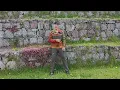 Esperandote (bomba)