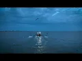 Creedence Clearwater Revival - Born on the Bayou (A Postcard from Louisiana)