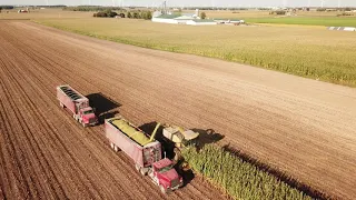 bertram silage chopping 2018