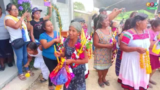 ¡Fiesta del Elote 🌽! Chicomexochitl - Tamoyon Segundo Huautla Hidalgo 🇲🇽