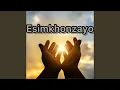 Download Lagu Esimkhonzayo