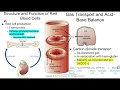 Pathophysiology Week 2 Quiz Review