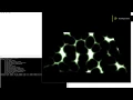 Vulkan Render Sample with animated fragment pixel shader