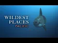 Wildest Places Pacific Islands