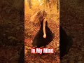 Download Lagu Davit Barqaia - In My Mind #music #instrumental #love #autumn #nature #deephousestation #deephouse
