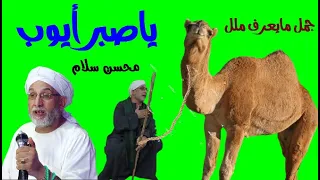 الشيخ محسن سلام الخمار يتألق فى تخمير جمل مايعرف ملل ولو أشيله حملين 