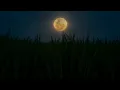 Download Lagu Background video pemandangan bulan malam hari