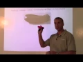 Beaumont Plastics Education - Industry Needs