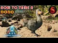 ARK SURVIVAL ASCENDED HOW TO TAME A DODO