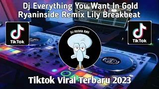 dj everything you want in gold ryaninside remix lily breakbeat viral tiktok 2023