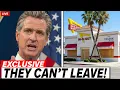 Lagu Governor of California PANICS After In-N-Out Begins Shutting Down \u0026 Moving HQ