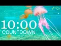 10 Minute Timer - 4K Marine Animals with Relaxing Ocean Waves
