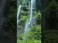 Download Lagu Sekumpul Waterfall , is arguably Bali’s most spectacular cascades.#travel #haicunoiinlume