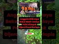 Download Lagu Anggota GRIB Jaya Bakar Mobil-Aniaya Polisi di Depok Dijerat Pasal Berlapis #beritakriminal #news