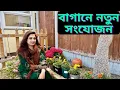 Download Lagu ফুল গাছ লাগানো নিয়ে দ্বন্দ্ব বেঁধে গেলো! সবজি রান্না শেষে কোকিলা আপার বাসায় গেলাম।|JF DISHA VLOGS|