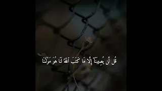 ق ل ل ن ي ص يب ن آ إ ل ا م ا ك ت ب ٱلل ه ل ن ا ه و م و ل ى ن ا السديس 