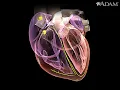Arrhythmias Health MedlinePlus