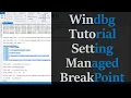 WinDBG tutorial - Setting a managed breakpoint C