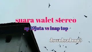 Download SUARA WALET PANGGIL INAP STERE0🔴 sp 19 juta vs inap top stereo MP3