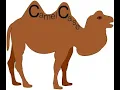 CamelCase using C HackerRank