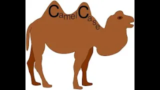 CamelCase using C HackerRank